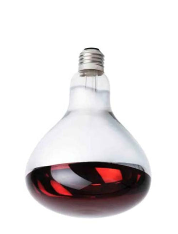 Glödlampa för värmelampa storkök/buffé